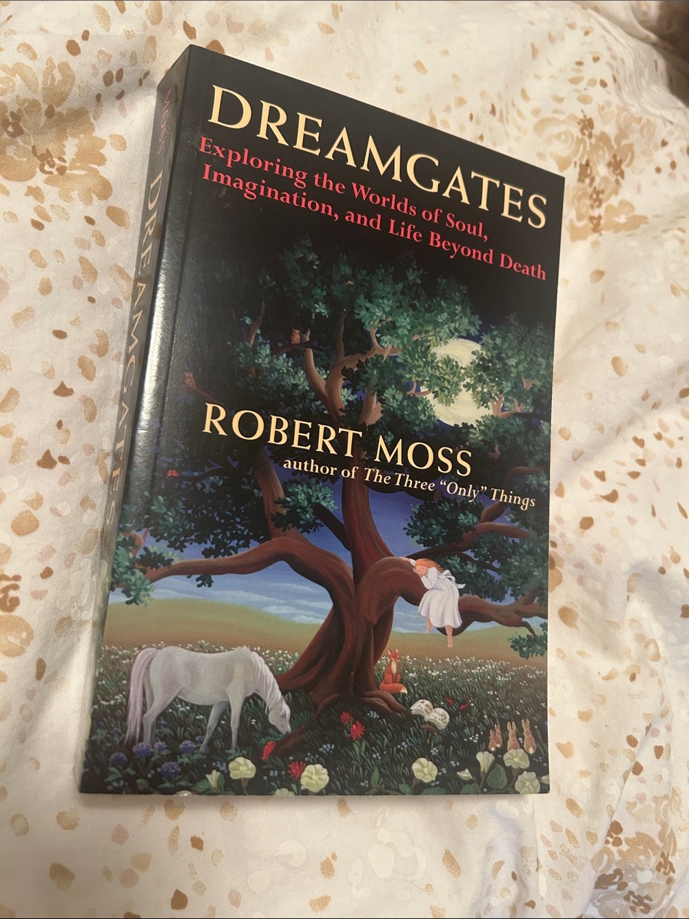 Dream gates by Robert Moss paperback book